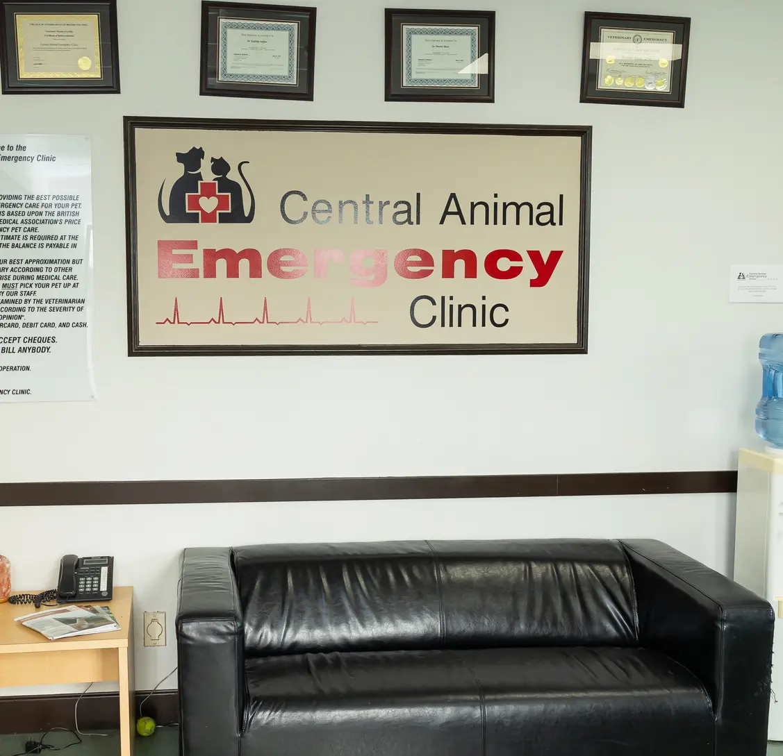 Image Of Central Animal Emergency Clinic