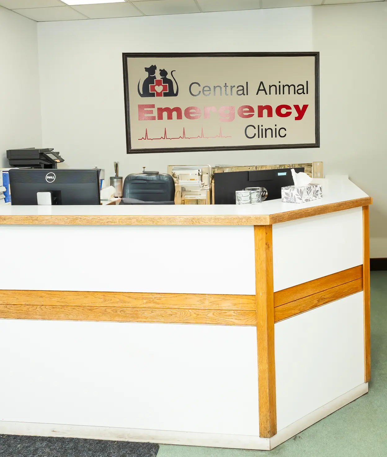 Emergency Vet Coquitlam