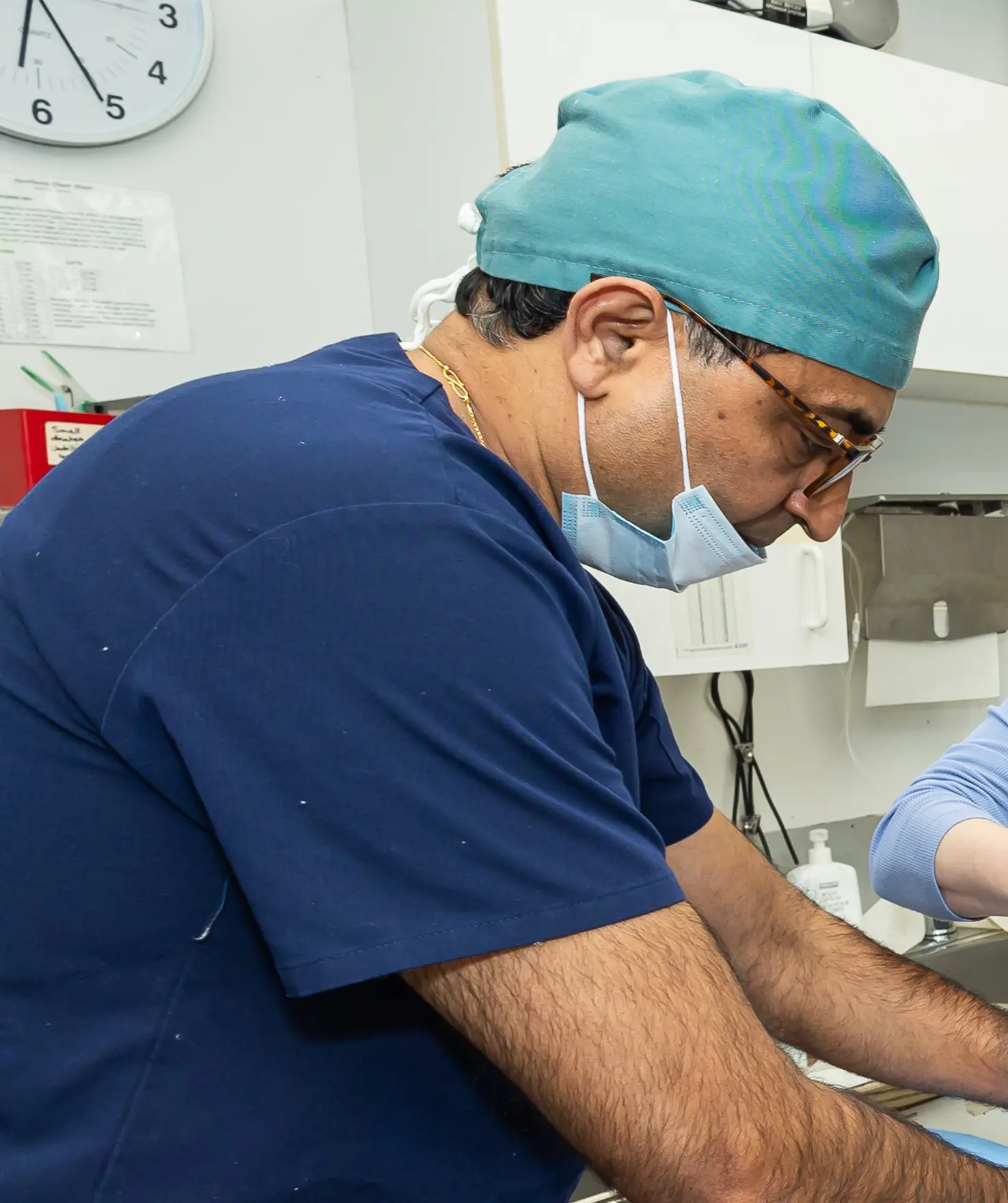 Animal Hospital Near Me