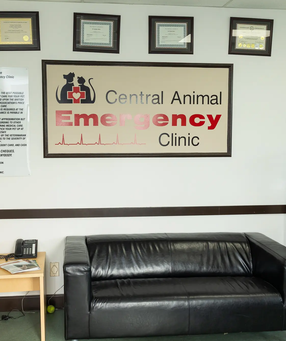 Animal Hospital Near Me