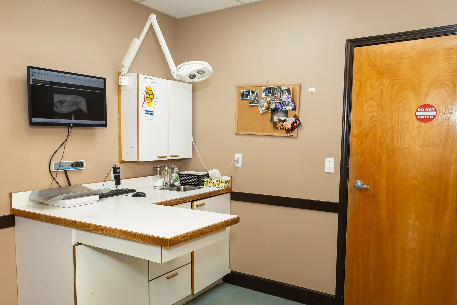 Animal Hospital Near Me