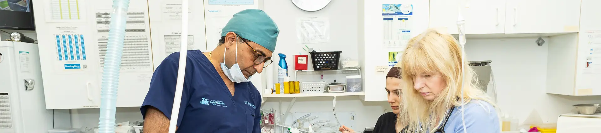 Lab & Diagnostic Services Emergency Vet Coquitlam