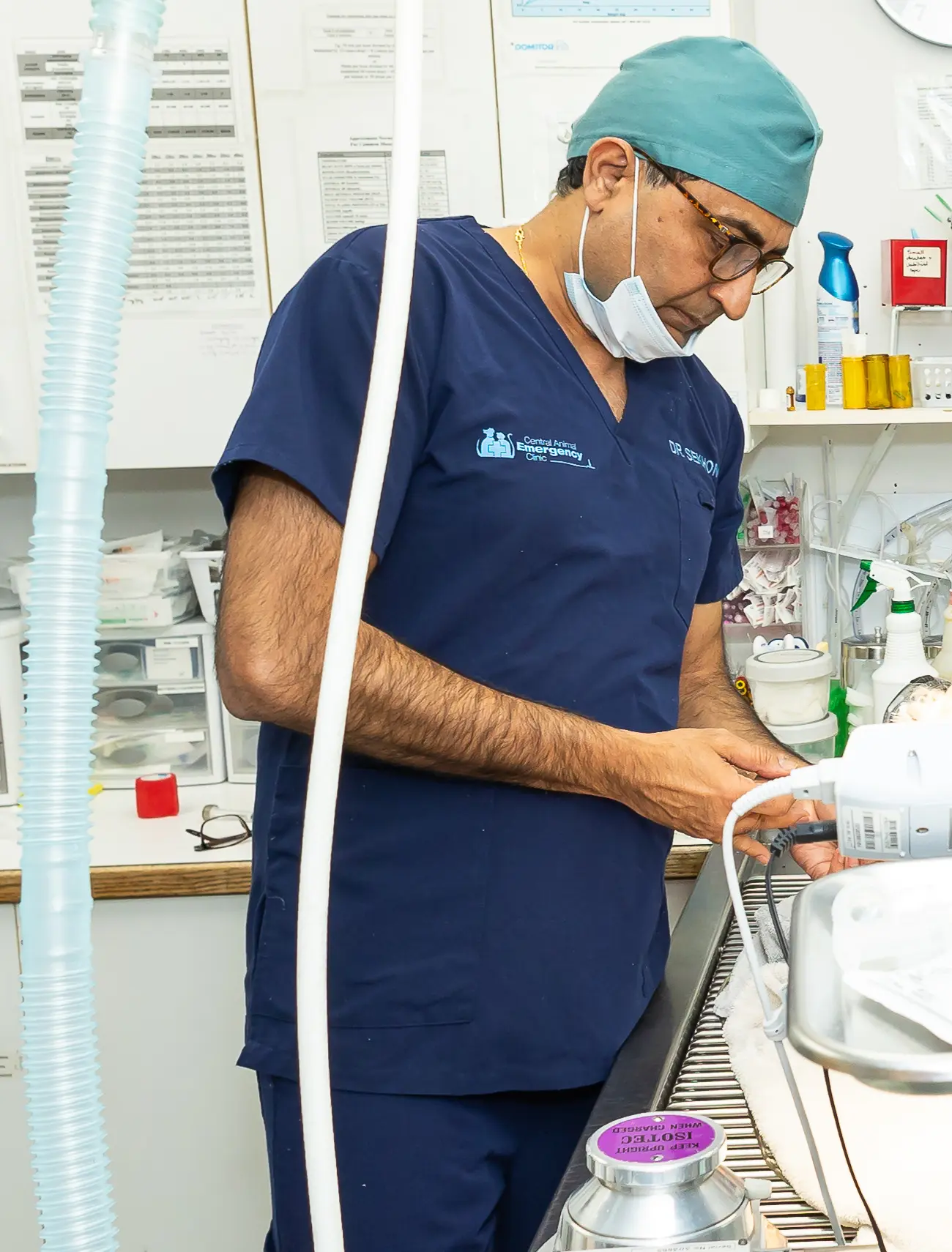 Emergency Vet Surgery Pet Surgical Coquitlam, Surrey, Port Coquitlam, Burnaby